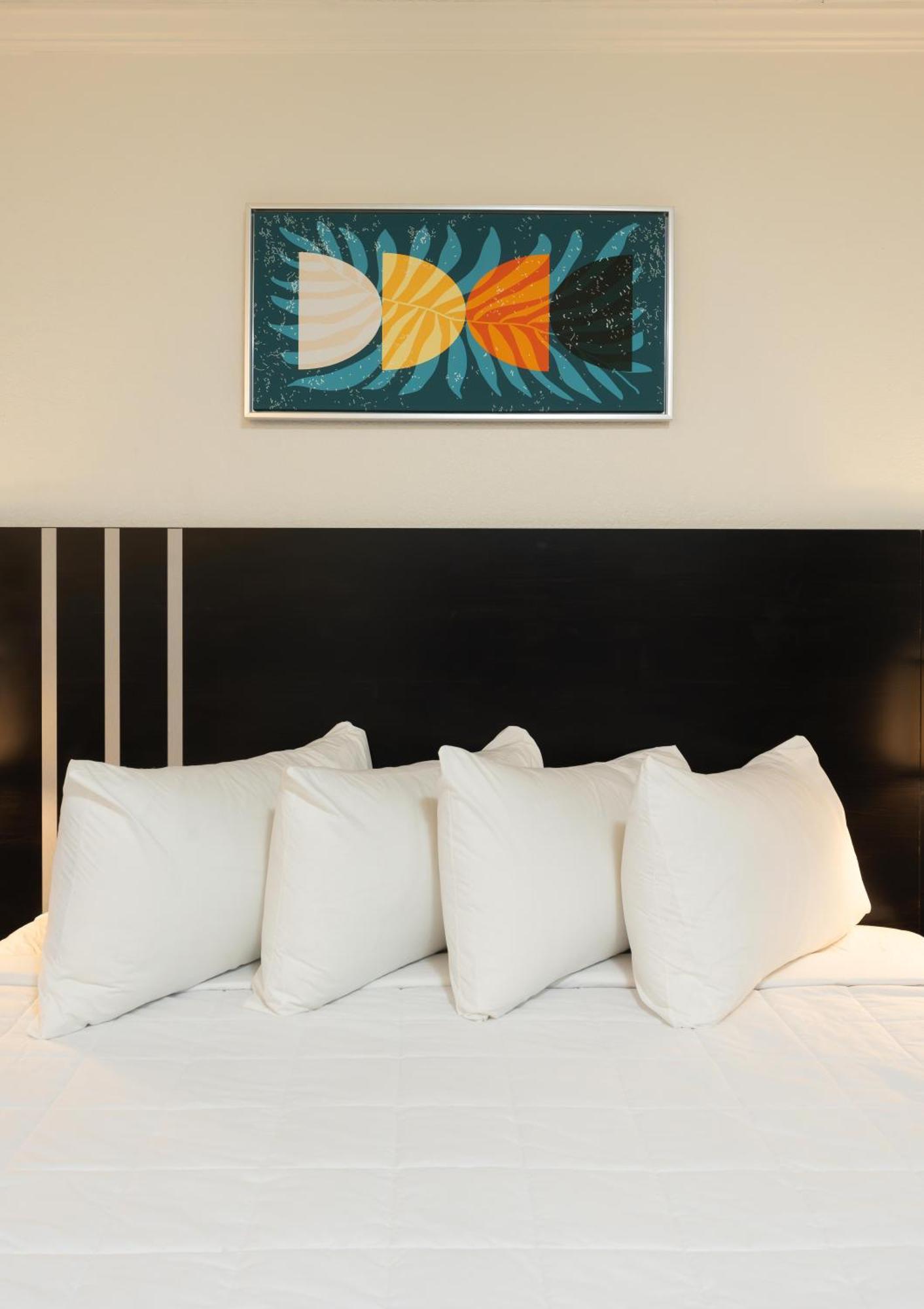 Oasis Bay Suites, Tampa, Busch Gardens, Usf Экстерьер фото