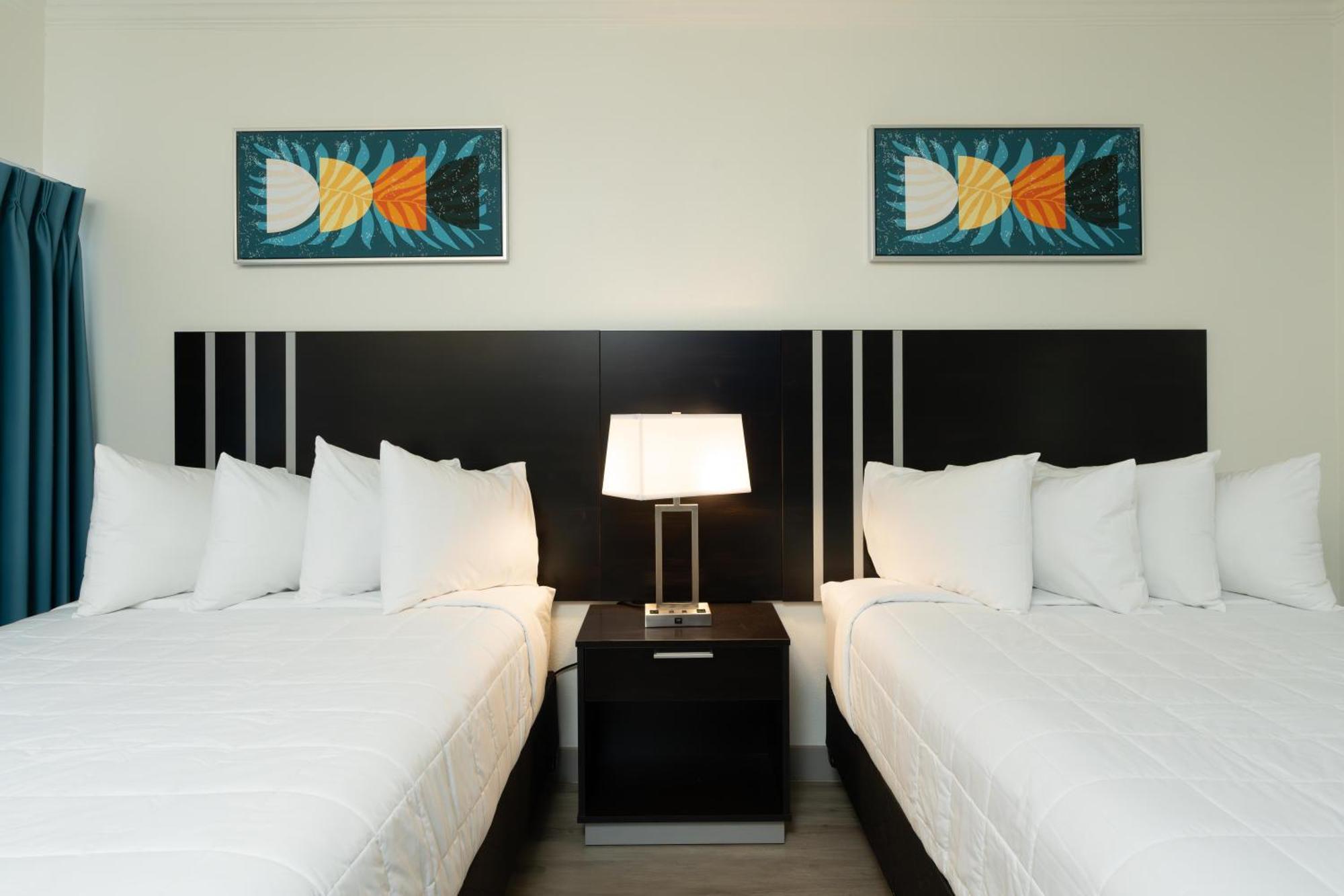 Oasis Bay Suites, Tampa, Busch Gardens, Usf Экстерьер фото