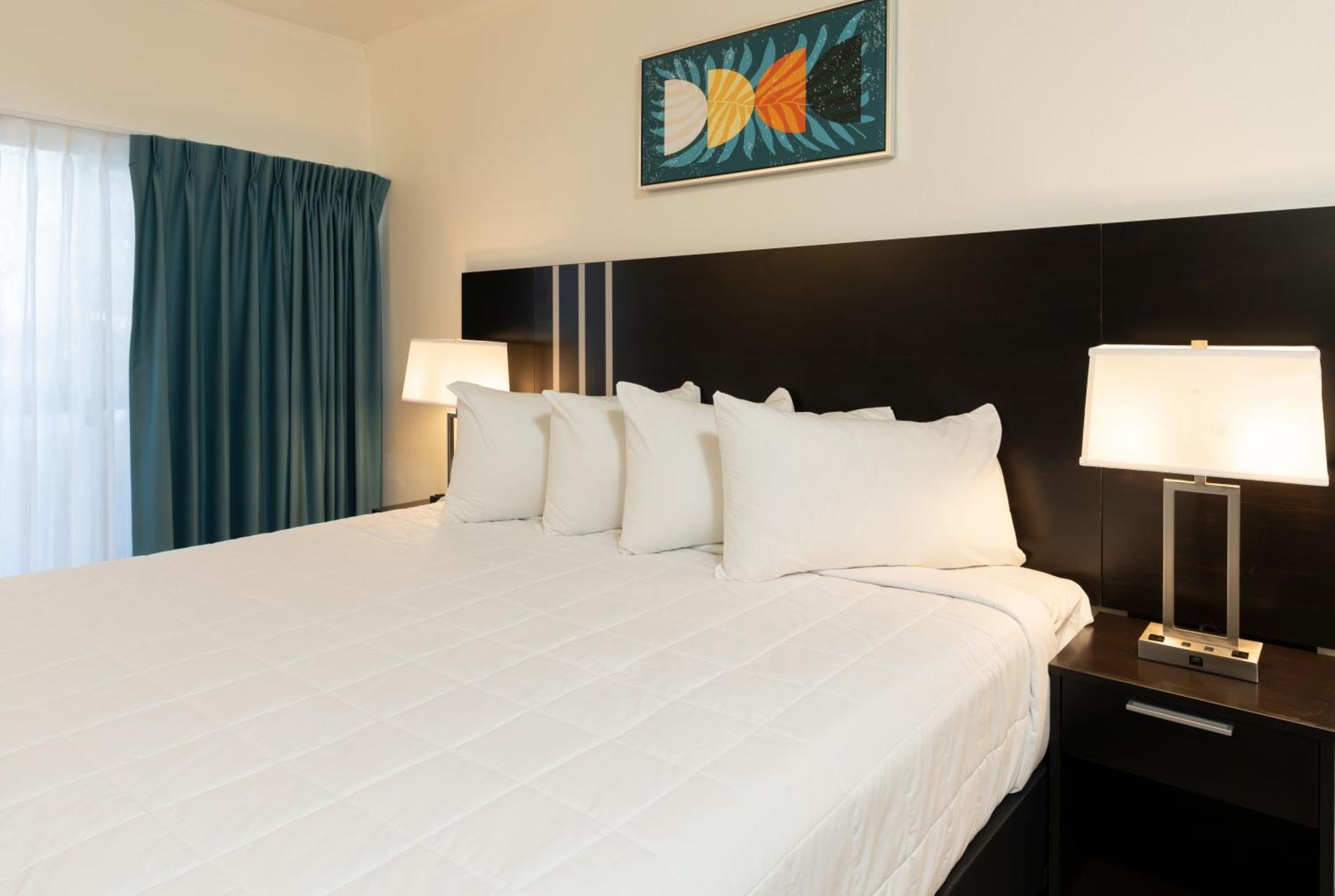 Oasis Bay Suites, Tampa, Busch Gardens, Usf Экстерьер фото
